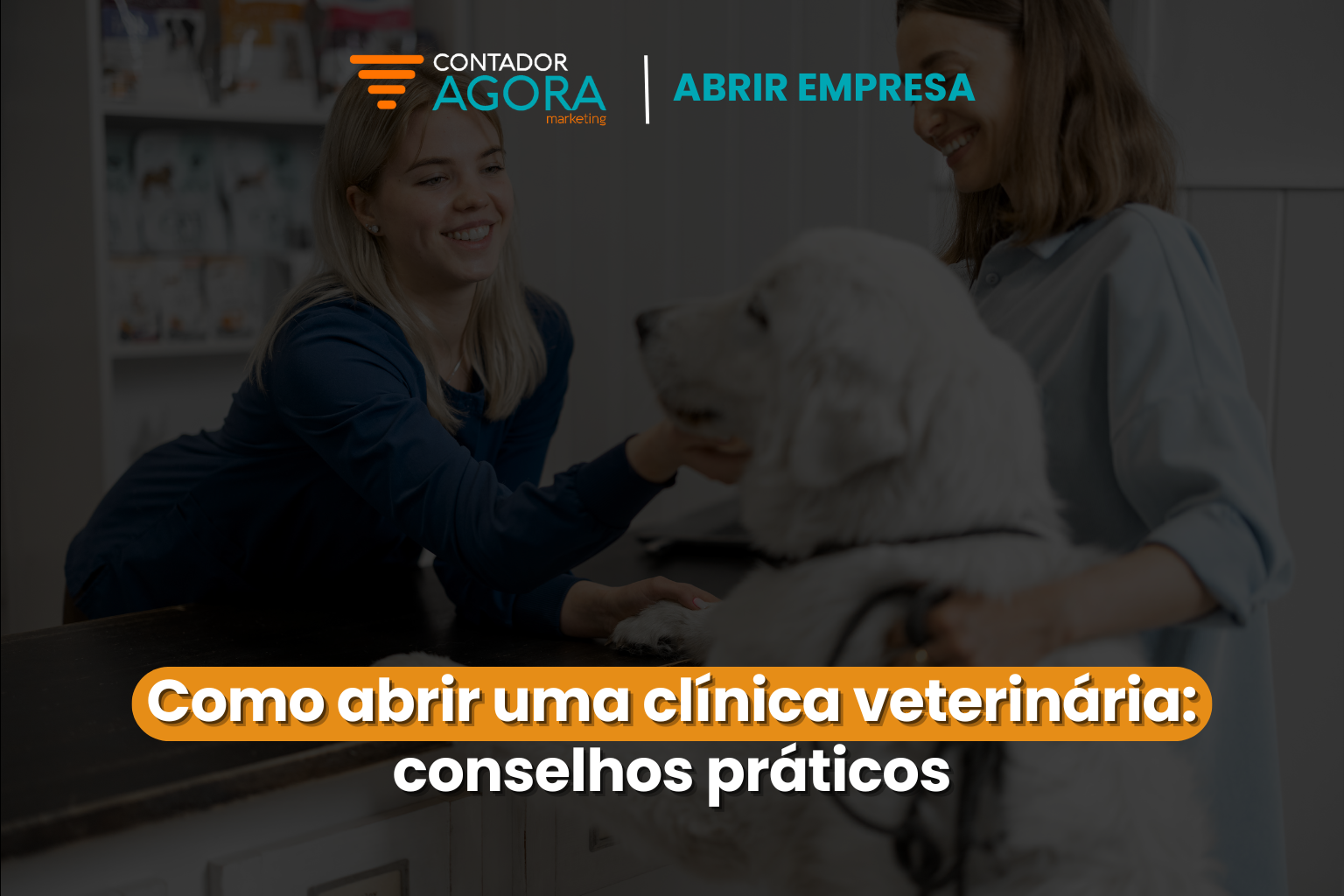 Como abrir uma clínica veterinária: conselhos práticos