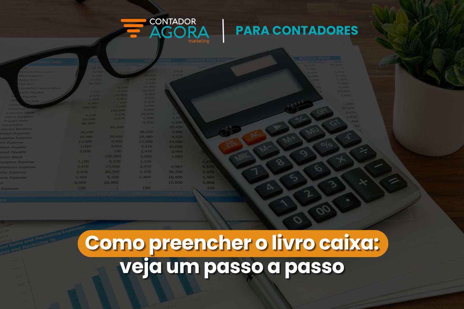 Como preencher o livro caixa: veja um passo a passo