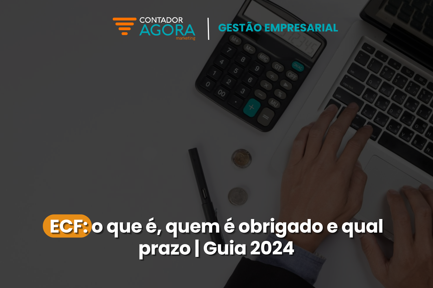 ECF: o que é, quem é obrigado e qual prazo | Guia 2024